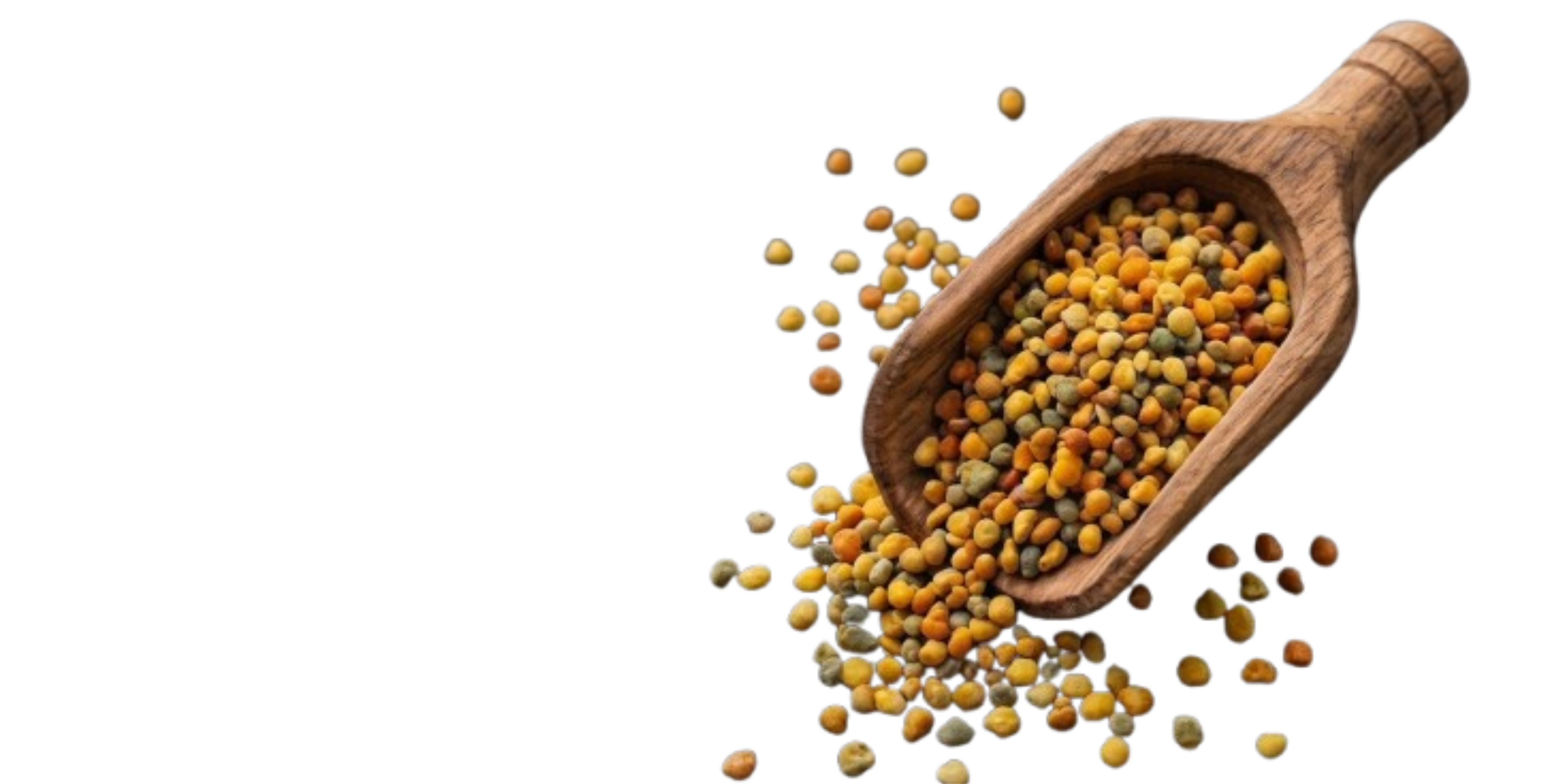 Produse din Polen